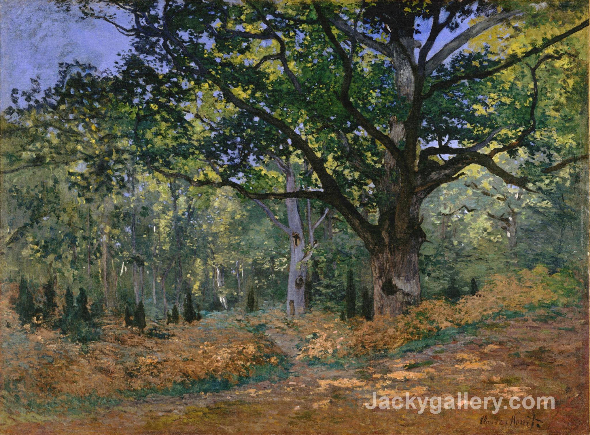 The Bodmer Oak, Fontainebleau by Claude Monet paintings reproduction